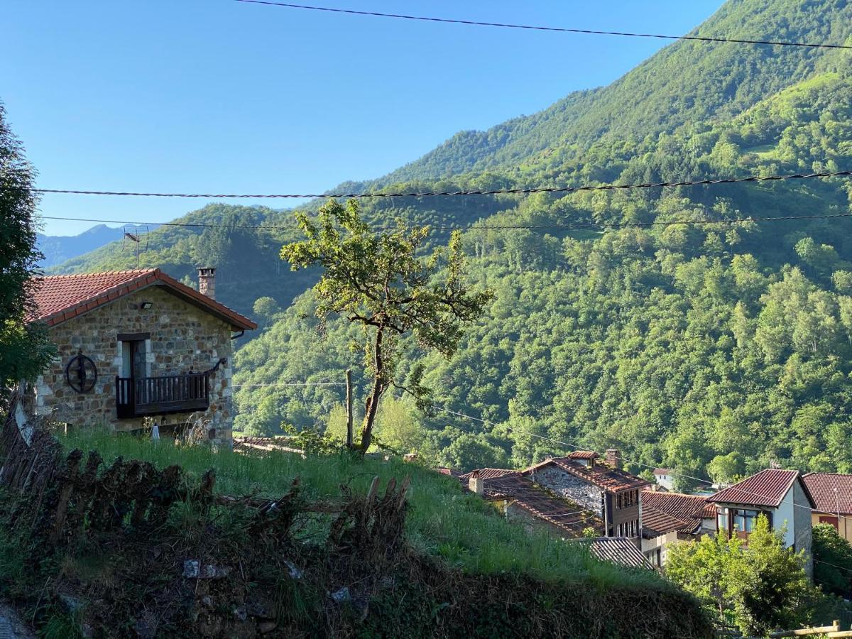Maison d'hôtes Llar De Cosme à Caso Extérieur photo